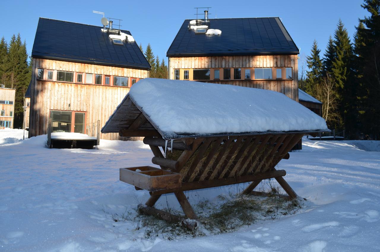 Chalet Harrachov Εξωτερικό φωτογραφία