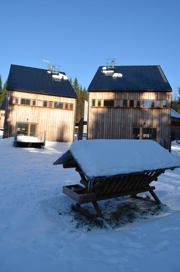 Chalet Harrachov Εξωτερικό φωτογραφία